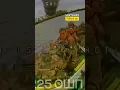 Lagu Ukrainian FPV Drone Hit a Group of Russian Soldiers on a Boat #warinukraine