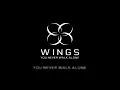 Download Lagu BTS - A Supplementary Story: You Never Walk Alone (Audio)