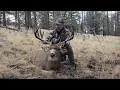 Giant Oregon Raffle Tag Mule Deer