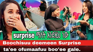 Galaana Jaalalaa Hojjattu Temer Properties Realestate Ekeram Bochisuu Deemen Gudii Ta E 