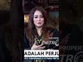 Download Lagu Semua personil Dewa 19 pernah ditawarin masuk politik? #dewa19 #politik #fyp #shorts