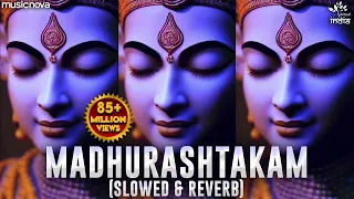 Adharam Madhuram (Slow + Reverb) - Krishna Bhajan - BhaktiSagar Devotional