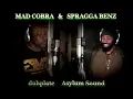 MAD COBRA & SPRAGGA BENZ dubplate {Asylum Sound} @ dainjamentalz u$a 4
