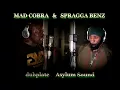 Lagu MAD COBRA \u0026 SPRAGGA BENZ dubplate {Asylum Sound} @ dainjamentalz u$a 4