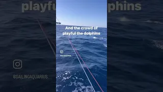 Atlantic Ocean crossing diaries. Day #3