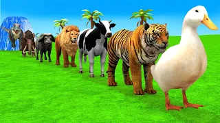 Long Slide Game With Elephant Gorilla Buffalo Hippopotamus Tiger - 3d Animal Game - Funny 3d Animals