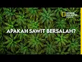 Download Lagu Mampukah Sawit Menjaga Masa Depan Bumi?