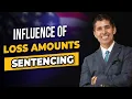 Loss Amounts of Federal Sentencing Guidelines 21