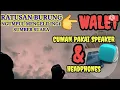 Download Lagu Suara walet