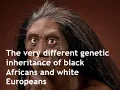 Download Lagu Do white Europeans and black Africans belong to different races, or different human species?