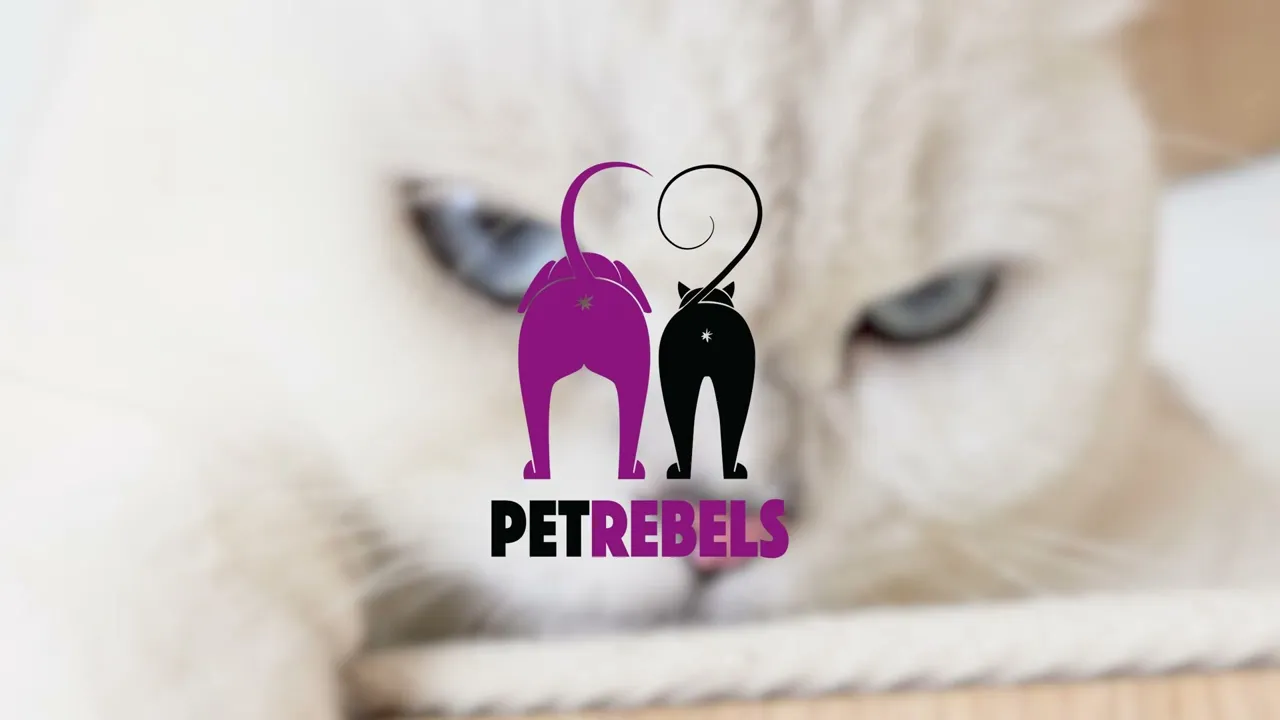 PETREBELS Post arbre à chat
