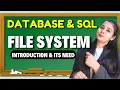 Database SQL File System Introduction its Need Class 12 Lovejeet Arora