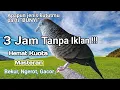 Download Lagu 3 JAM Tanpa Iklan masteran pancingan suara perkutut lokal variasi suara tekukur dijamin rame