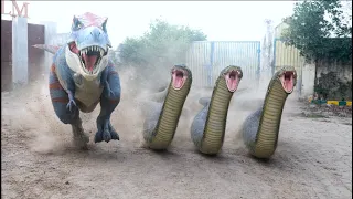 Giant Anaconda Snake In Real Life