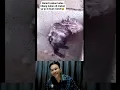 Download Lagu POV : TIKUS MANDI PAKE SABUN 🍷🗿 #shorts #trending #reaction #ilhamrc