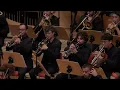 Arturo Marquez - Danzon No. 2 - Western Balkans Youth Orchestra, Desar Sulejmani, Conductor