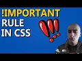 CSS RULES Important Rule Explained