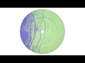 Computer Data - Ego