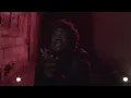 Jahshii - Born Fighter (Official Music Video)