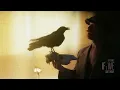 Foy Vance - Don't Move (Official Visualizer) - Foy Vance