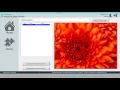 Handling Binary Large Objects BLOBs in MS SQL Server Using the IWS Database Gateway StADOSvr exe