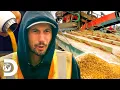 Parker Schnabel Makes A 1 Million Gamble By Shutting Down The Golden Mile Gold Rush