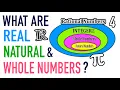 WHAT IS A REAL NUMBER WHOLE NUMBER NATURAL NUMBER
