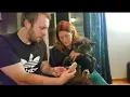 Fox paw-pad injury bandage wrap tutorial Esmae Fox