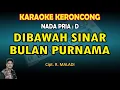 Download Lagu Keroncong Dibawah Sinar Bulan Purnama karaoke nada Pria