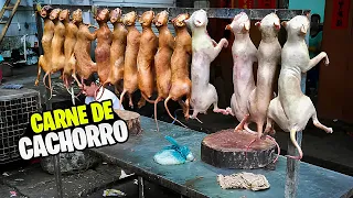 NESSA CIDADE DO VIETNÃ ELES COMEM CARNE DE CACHORRO | Sapa | #136