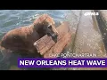 Lake Pontchartrain feels like a hot bath as water temperatures reach 96 degrees