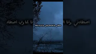 دي يمامة وصيدها صعب بدون موسيقى   اكسبلور  بدون موسيقى  ال زين دندنها