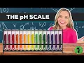 Acids Bases the pH Scale