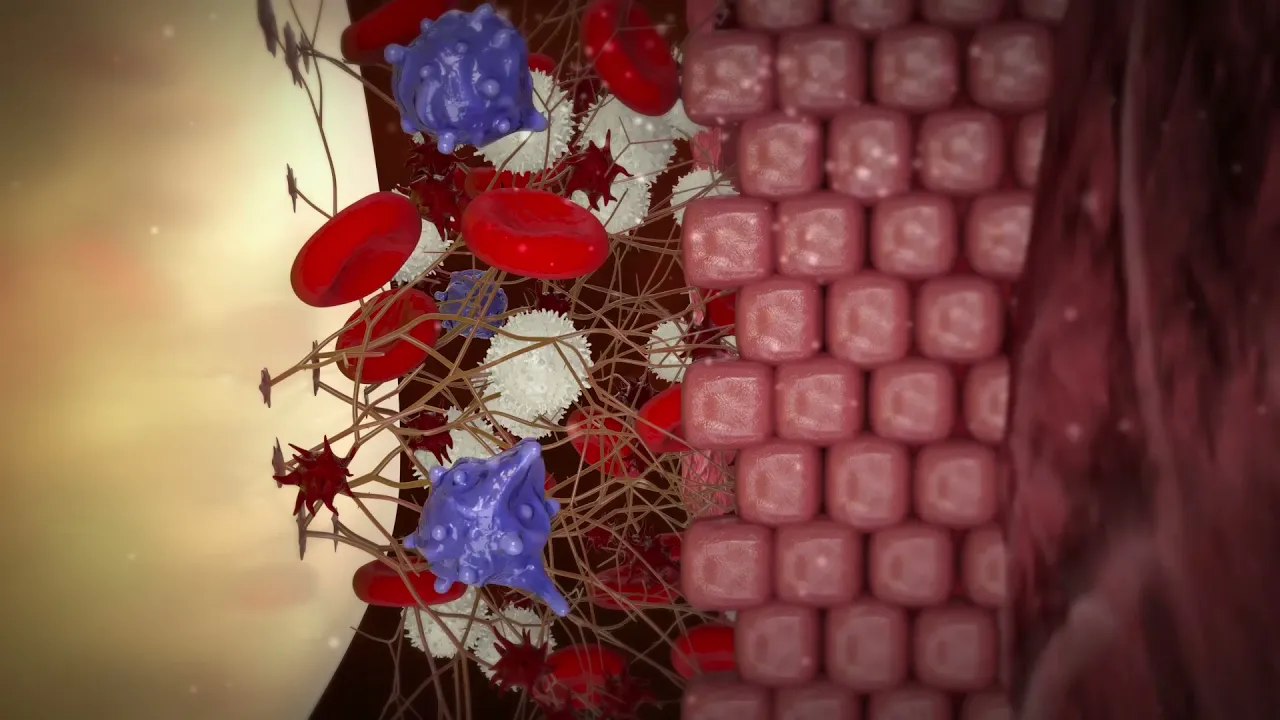 Xeal Surface 3D Medical Explainer Video
