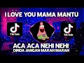 Download Lagu DJ l LOVE YOU MAMA MANTU X ACA ACA NEHI NEHI X DINDA JANGAN MARAH MARAH VIRAL TIKTOK 2021