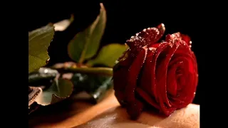 رايداك توزيع رائع 