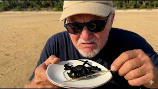 TARANTULA CROQUETTES - Real or Fake?