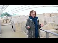 Tarxien. Malta. The best preserved megalithic temple. It's famous for the huge female statue