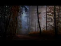 Ambient Music: Aphex Twin - Aisatsana | 1 Hour
