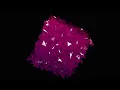 Dynamic Color Changing 3D Cube Rotating Animation Using Three js