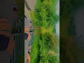 Download Lagu Jawai Band | Rajasthan ka Chhupa Hua Swarg | Nature \u0026 Wildlife Vlog#shorts #iphone16