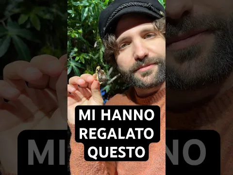 Un anello fecale