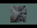 BJ Lips - Summer Lover Slowed Reverb