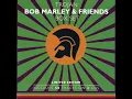 Download Lagu Rita Marley \u0026 The Soulettes - Bring It Up