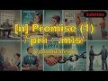 n Promise meaning commitment with 5 examples