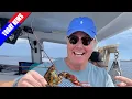 QVC Host Rick Domeier Announces His Retirement Plans After 30 Years Now s the Perfect Time