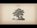 Alison Krauss & Union Station - One Ray of Shine (Official Lyric Video)