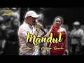 Download Lagu MANDUL - TASYA ROSMALA FT SULTAN WK |  Mardatila Group