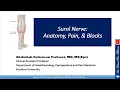 Sural Nerve Anatomy Pain and Block