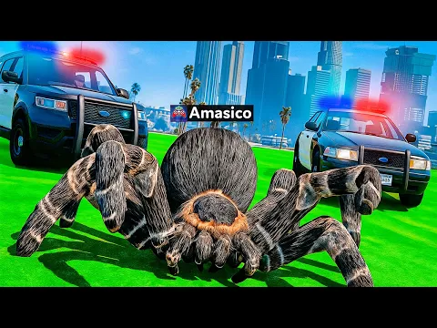 Video Thumbnail: AMASICO devine o TARANTULA in GTA 5!